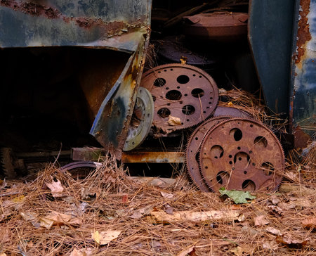 Rusty Gears in Woods from Junk Carsの写真素材