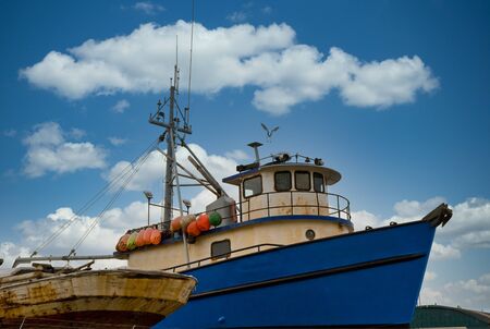 An old blue tugboat in dry dock with a seagull flying overの写真素材