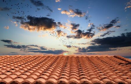 A curved red clay tile roof under a clear blue skyの写真素材