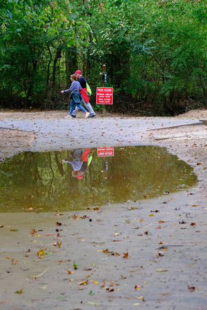 Walkers Reflected in Puddle