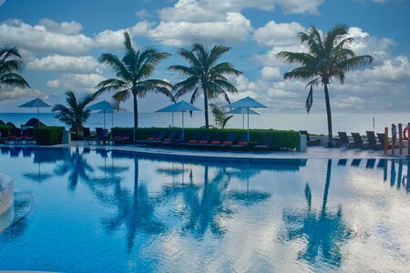 Palm Trees by Pool In Early Morningの写真素材