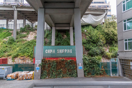 Freight Train Under Bridge