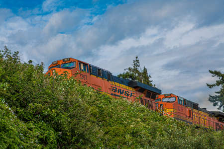 Train Over Green Shrubsのeditorial素材