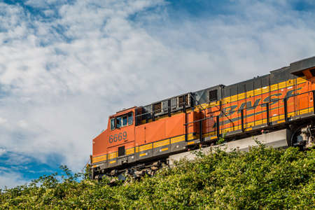 Orange Locomotive Over Hedgeのeditorial素材
