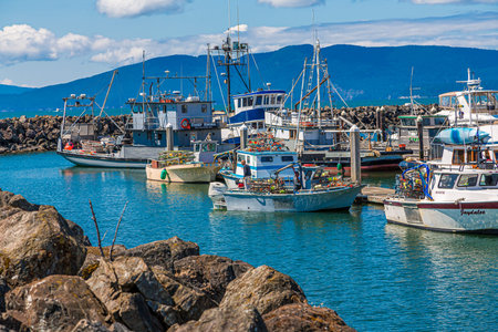 Fishing Boats at Breakwater