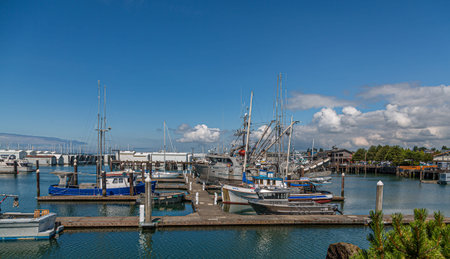 Marina in Pacific Northwest