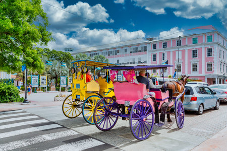 Pink and Yellow Buggies