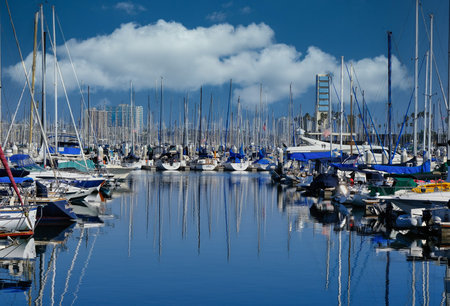 Blue Water in Long Beach Marina