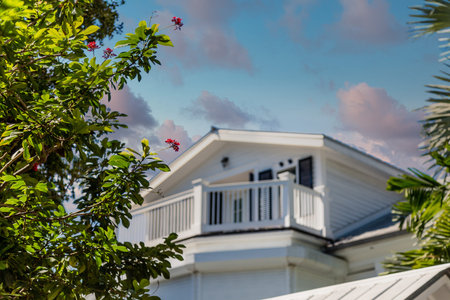 Tropical Flowers with Deck in Backgroundの写真素材