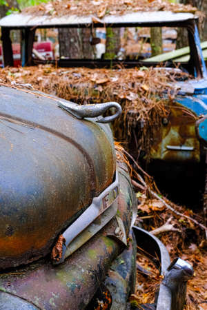 Old Ford Hood Ornamentのeditorial素材