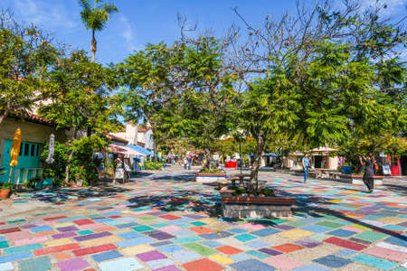 Mimosa Tree in Artist Colonyのeditorial素材