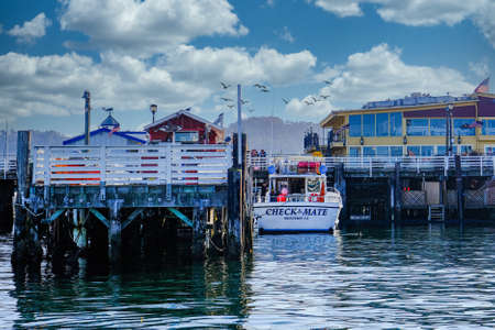 Checkmate in Monterey Harborのeditorial素材