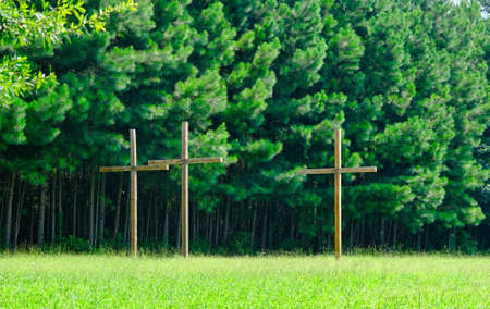 Three Wood Crossesの写真素材