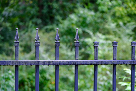 Wet Wrought Iron Fence