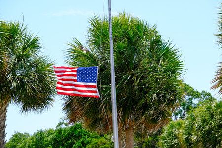 Flag at Half Mast on Palm Tree