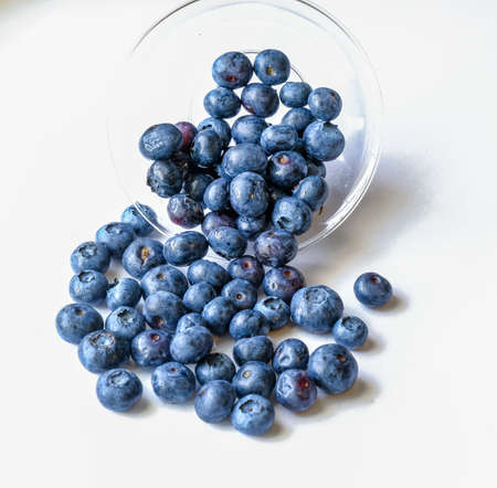 Fresh Blueberriesの写真素材