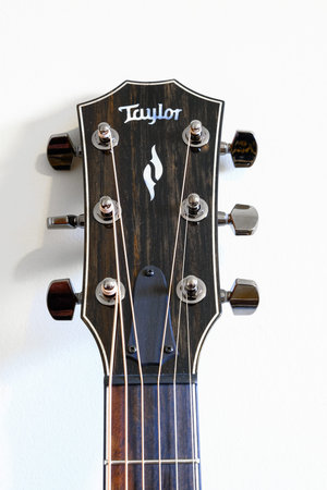 Taylor Guitar Headstock