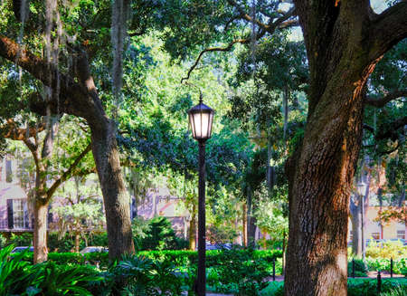 Lamp in Savannah Squareの写真素材