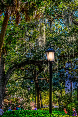 Street Lamp in Savannah Parkのeditorial素材