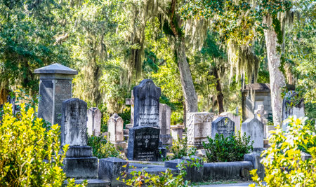 Old and New Graves in Bonaventure Cemetery
