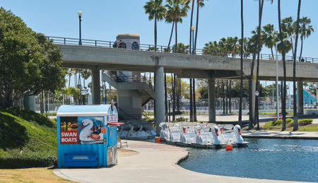 Swan Boats in Lagoonのeditorial素材