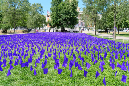 Purple Flags in Boston Commons for the Drug Overdose Crisisのeditorial素材