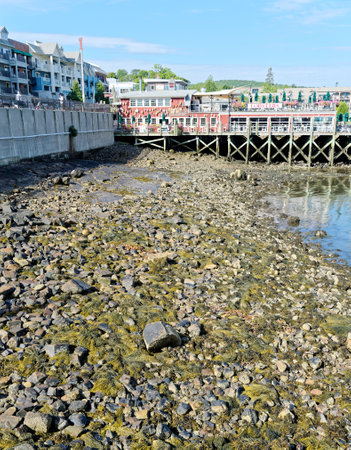 Low Tide in Bar Harborのeditorial素材