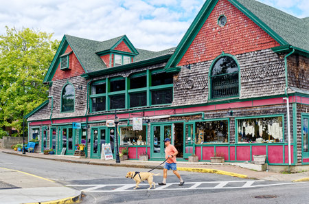Man Walking Dog by Bar Harbor Shopsのeditorial素材