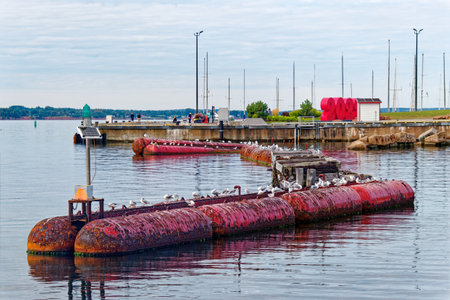 Floating Breakwater in Charlottetown Harborのeditorial素材