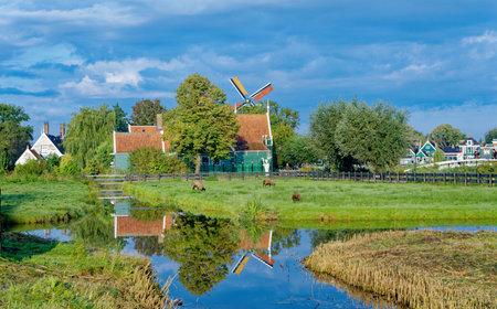 Sheep by Windmill and Canal in the Netherlandsのeditorial素材