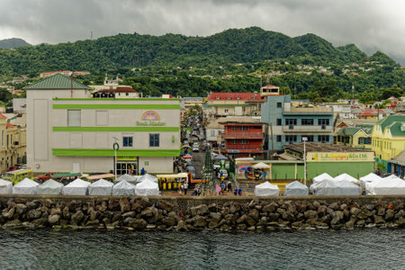 View of Roseau Dominica from Aboveのeditorial素材