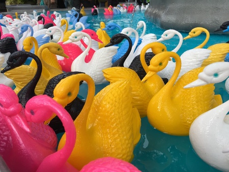 Colored ducksの素材