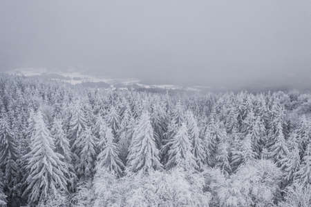 Jizera Mountainsor Izera Mountains are part of the Western Sudetes on the border between Czech Republic and Poland. The range was named from the Jizera River.の写真素材