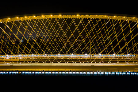The Troja Bridge (2014) is a bowstring arch bridge in Prague that crosses the Vltava River. It...
