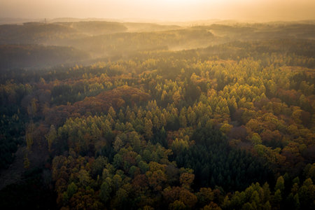 Voderady Beechwood is a National Nature Reserve. There are natural beech forests on relatively...