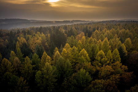 Voderady Beechwood is a National Nature Reserve. There are natural beech forests on relatively...