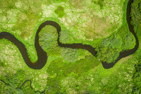Trebon region stands out for its extraordinary variety of habitats. The most valuable biotopes of...