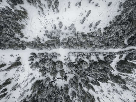 Sumava National Park, Bohemian Forest National Park NP is protected by UNESCO.の写真素材