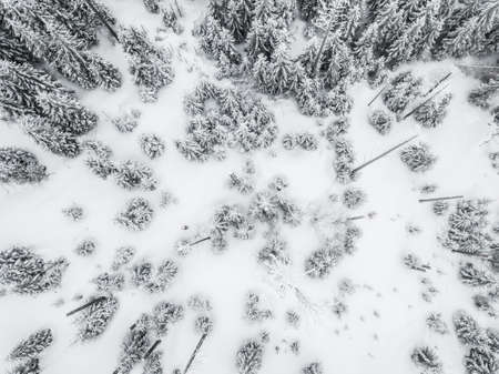 Sumava National Park, Bohemian Forest National Parkの写真素材