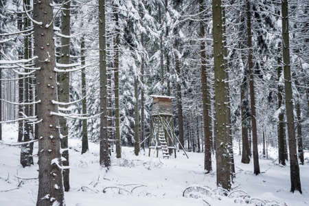 Sumava National Park is one of four national parks in Czechia. It is located in two southern regions to create a natural border between the Czech Republic on one side of Germany and Austria.の写真素材