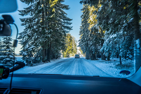 The Bohemian Forest, known in Czech as Sumava, is a low mountain range in Central Europe. They...
