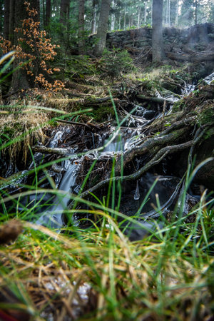 The Bohemian Forest, known in Czech as Sumava, is a low mountain range in Central Europe. They...