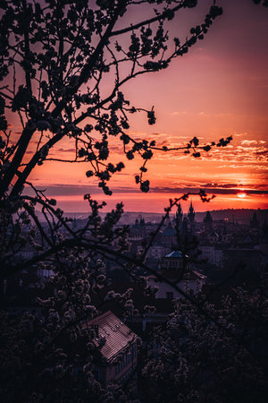 Prague is the capital and largest city in the Czech Republic, the 13th largest city in the European...