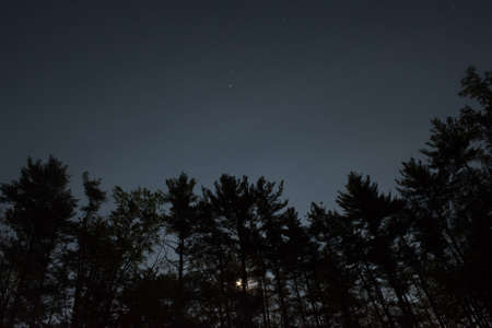 Moon Behind the Treesの写真素材