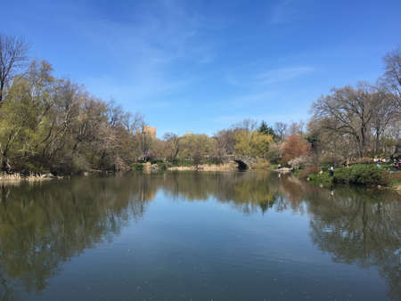 One of the many views you can see from Central Parkの写真素材