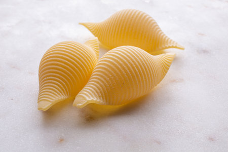 Two conchiglie pasta on white marble background. Selective focus.の写真素材
