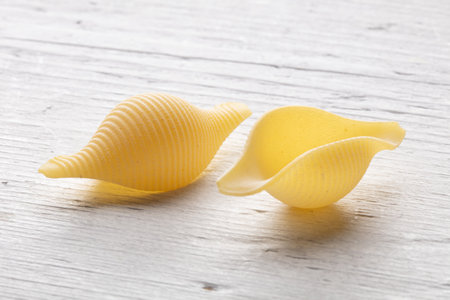 Two conchiglie pasta shells on a white wooden background.の写真素材