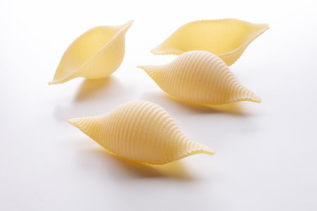 uncooked conchiglie pasta isolated on white background.の写真素材