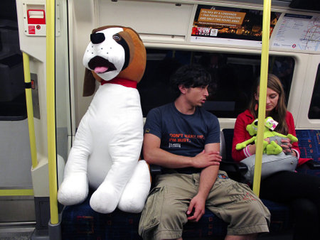 London Tube, June 2011: Toy dog passenger enjoys the London underground.                            のeditorial素材