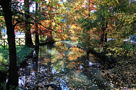 Autumn in Sempione Park - Milan, Italyの写真素材
